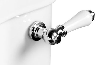 Cistern Levers